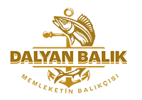 cropped dalyan balik 1.png