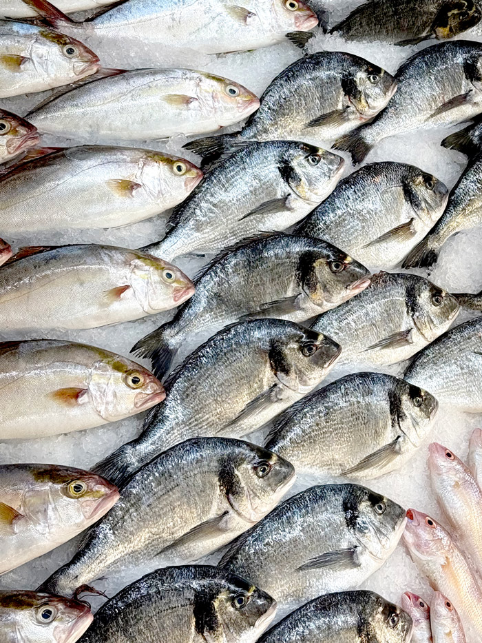 kayseri dalyan balik8